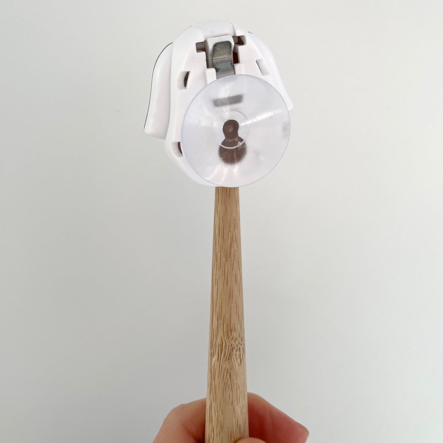 kids animal travel toothbrush holder