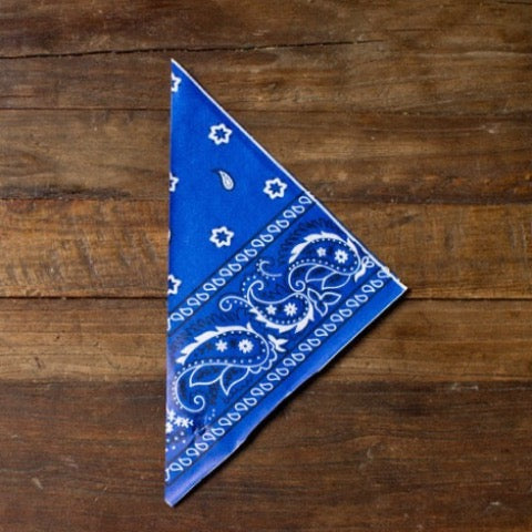 blue bandana print paper party popcorn cones