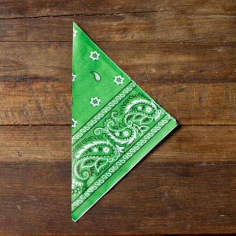 green bandana print paper party popcorn cones