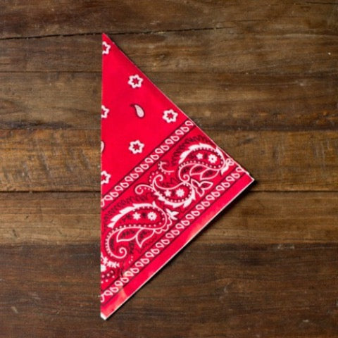 red bandana print paper party popcorn cones