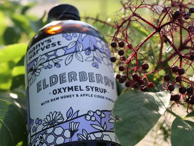 Hany's Harvest natural and small batch Elderberry Oxymel Syrup tonic