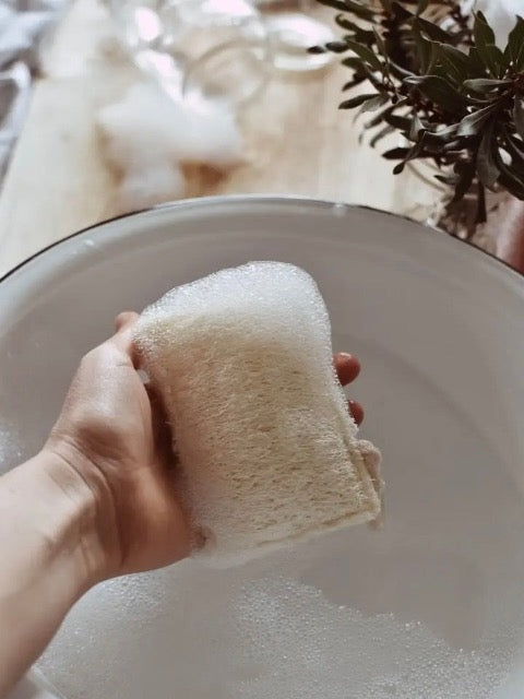 natural cream compostable eco kitchen sponges