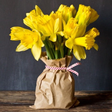 yellow tulips in brown paper bag