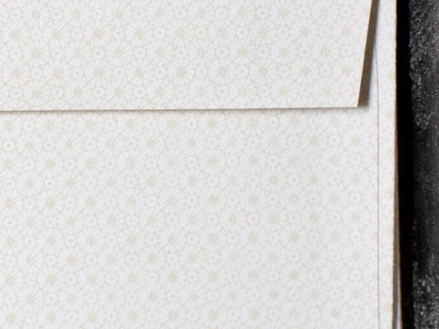 standard size French Paper Company pastel tan starburst printed modern letter writing envelopes